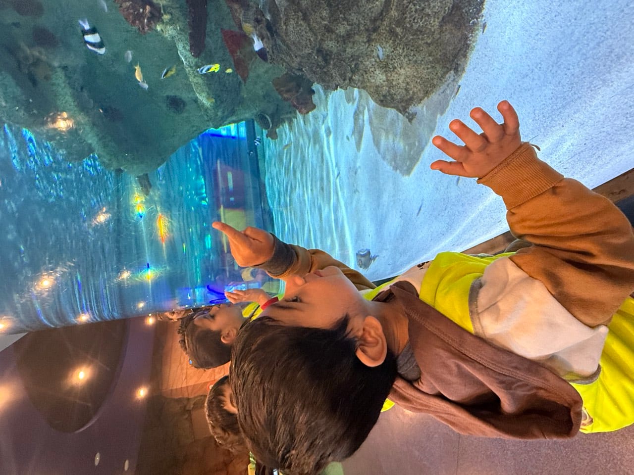 Children watching an immersive light display during an excursion experience.