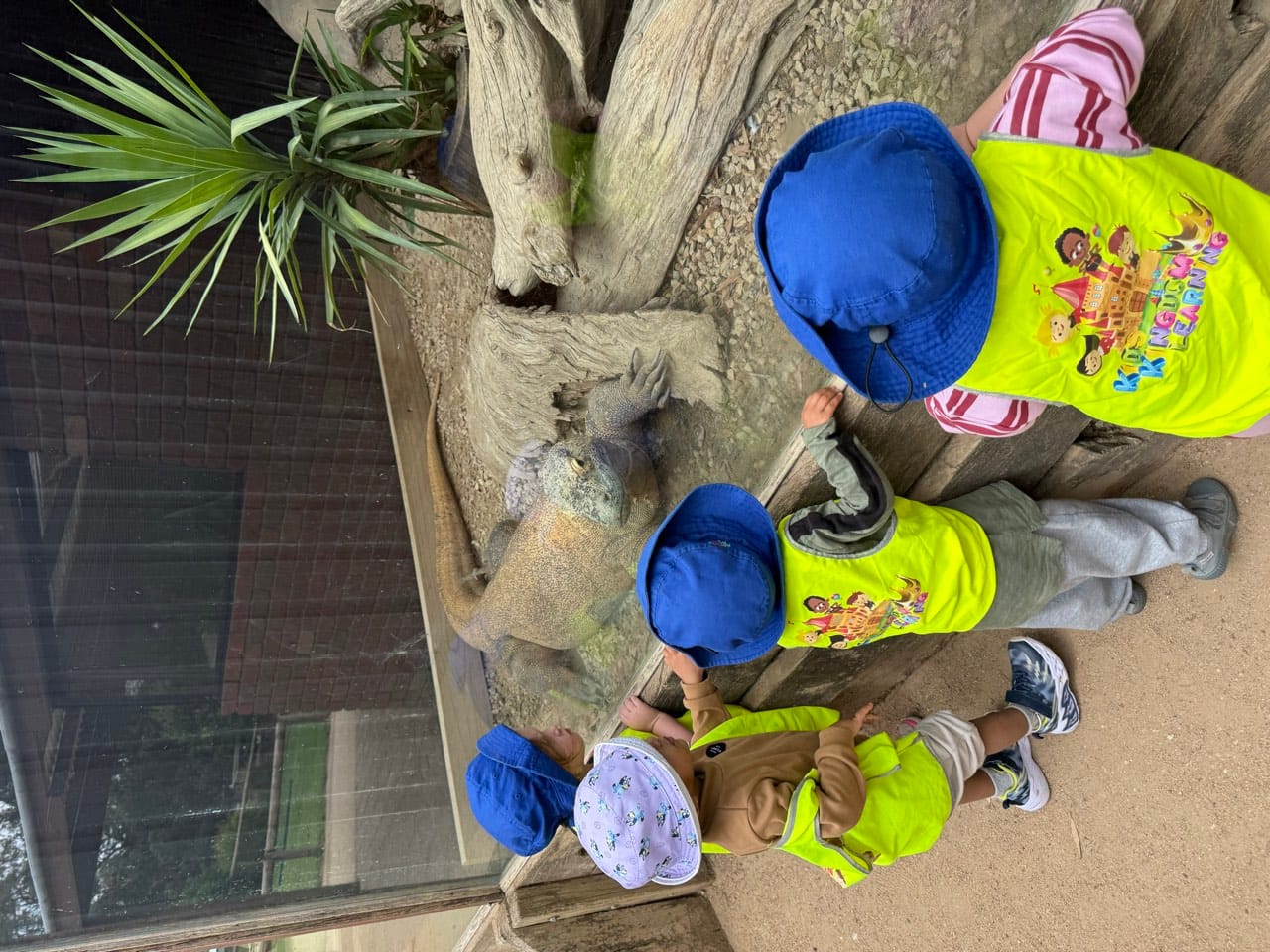 Children exploring around a large tree feature during an outdoor excursion.