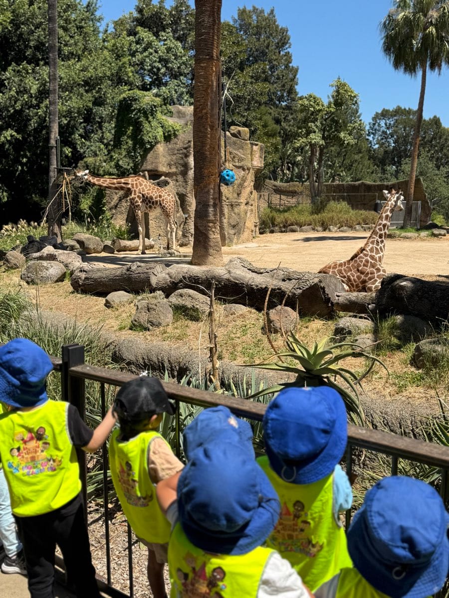 Children gathered at an animal lookout during a real-world learning excursion.
